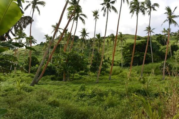 Bay Of Plenty Nature Lodge Insel Nanuya Exterior foto